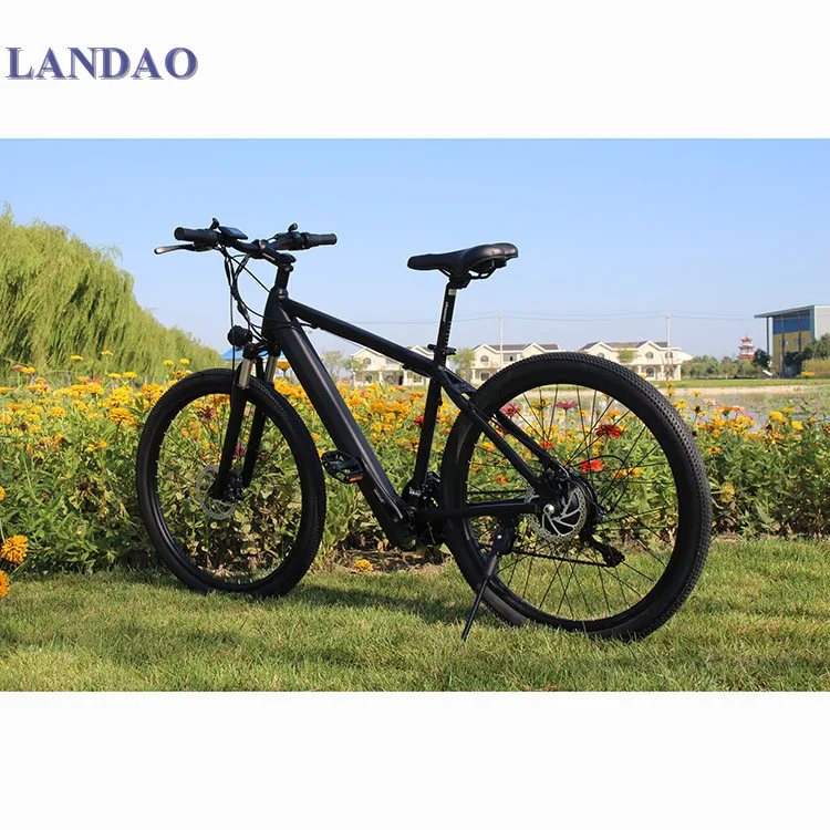 best chinese electric mountain bike