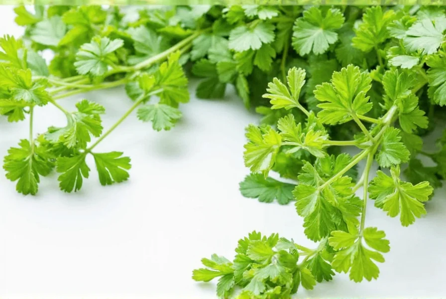 Organic coriander seeds in a wooden bowl