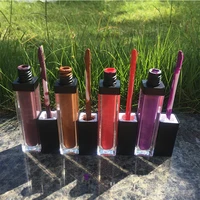 

Fashion Color Private Label Liquid Matte Lipstick make your own brand name