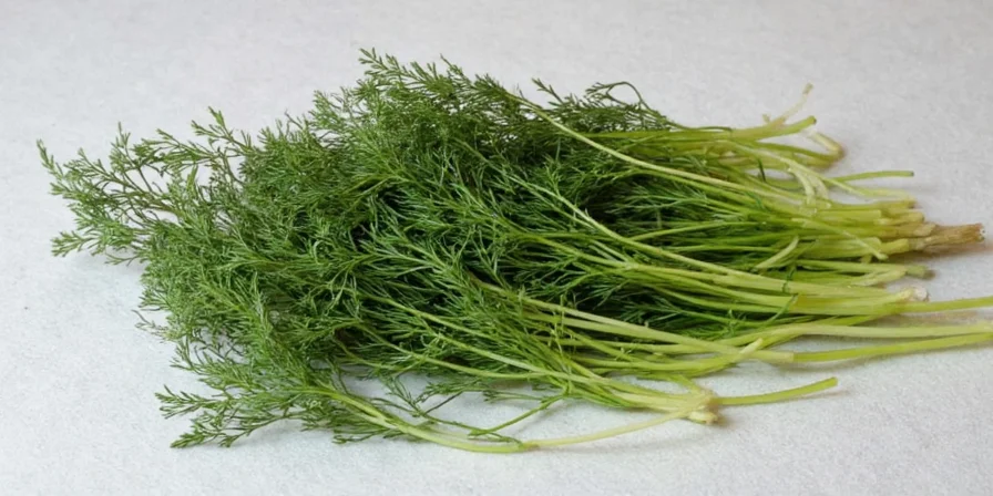 Diagram showing health benefits of dill