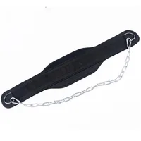 

Weight Lifting Dipping Dip Belt with Steel Chain for Dips and Pull Ups