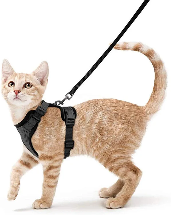 

Cat Harness and Leash Walking Escape Proof Soft Adjustable Vest Harnesses Cats Easy Control Breathable Reflective Strips Jacket