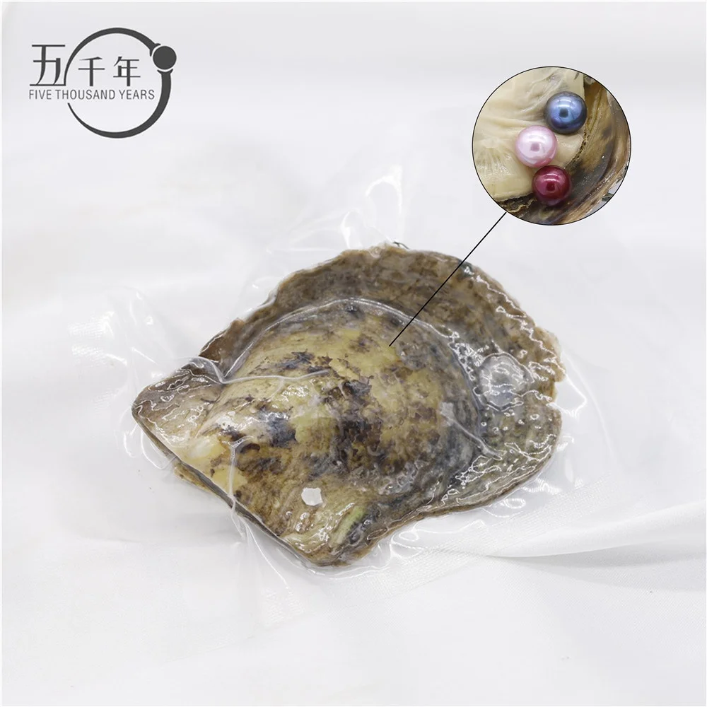 

Wholesale 6-8mm colorful AAAA grade freshwater round pearl akoya oyster triplet pearls in per akoya oyster with Vacuum-Packed