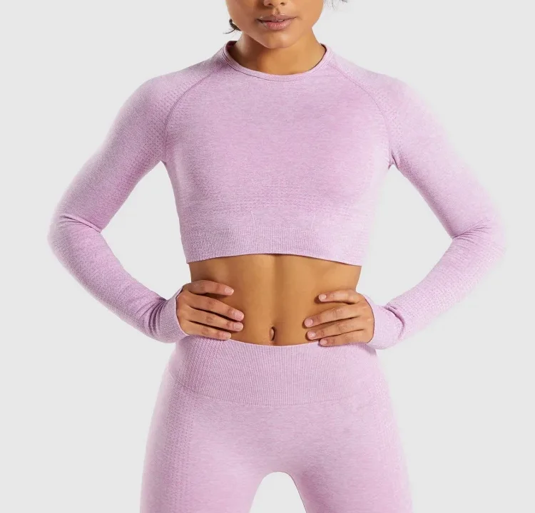 seamless long sleeve crop top