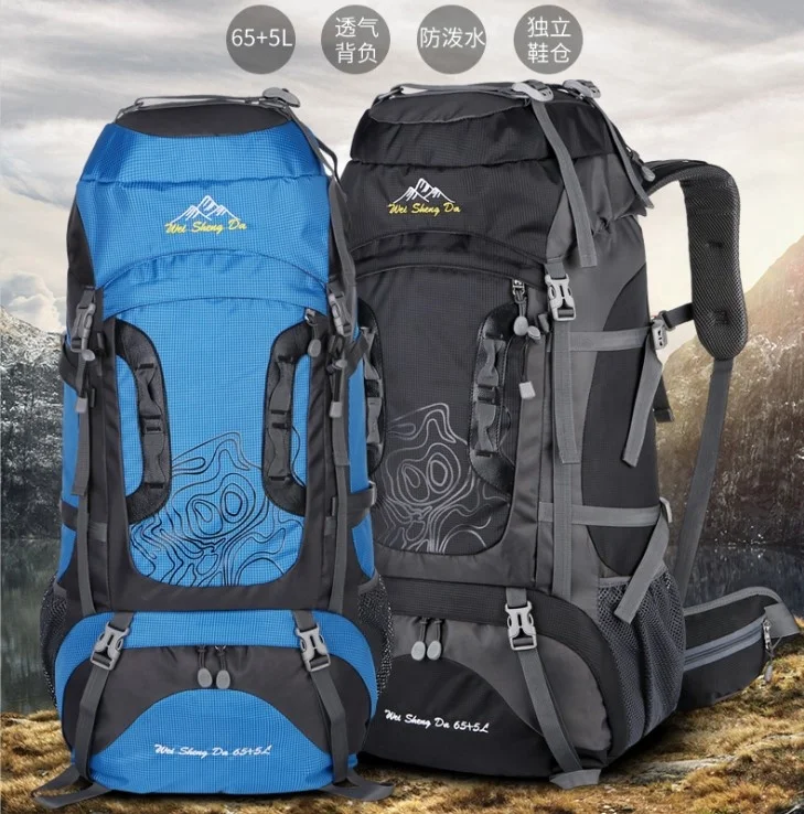 

Travel Large Backpacks Suitcase Bag with Pockets, Customized colors