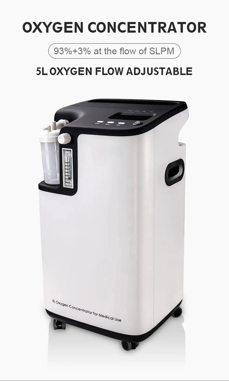 10 Liter Oxygenerator/oxygen Generating Machine/electric Oxygen Machine