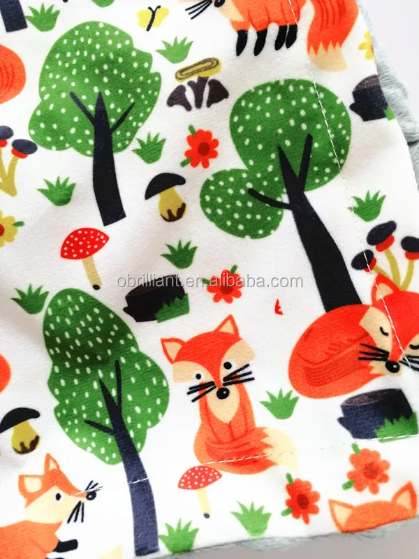 Minky Flannel Blanket