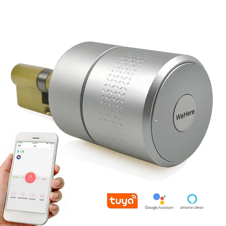 

European Keyless Fingerprint Smart Lock Cylinder Tuya BT Zigbee TTlock App Alexa Google Home WiFi Digital Smart Door Lock