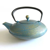 

japanese Tetsubin antique Cast Iron Teapot kettle with infuser