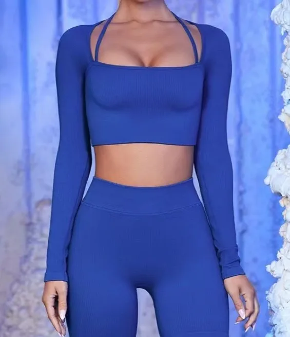 

Seamless 2 piece yoga wear slim fit fitness long sleeve and shorts women activewear sets