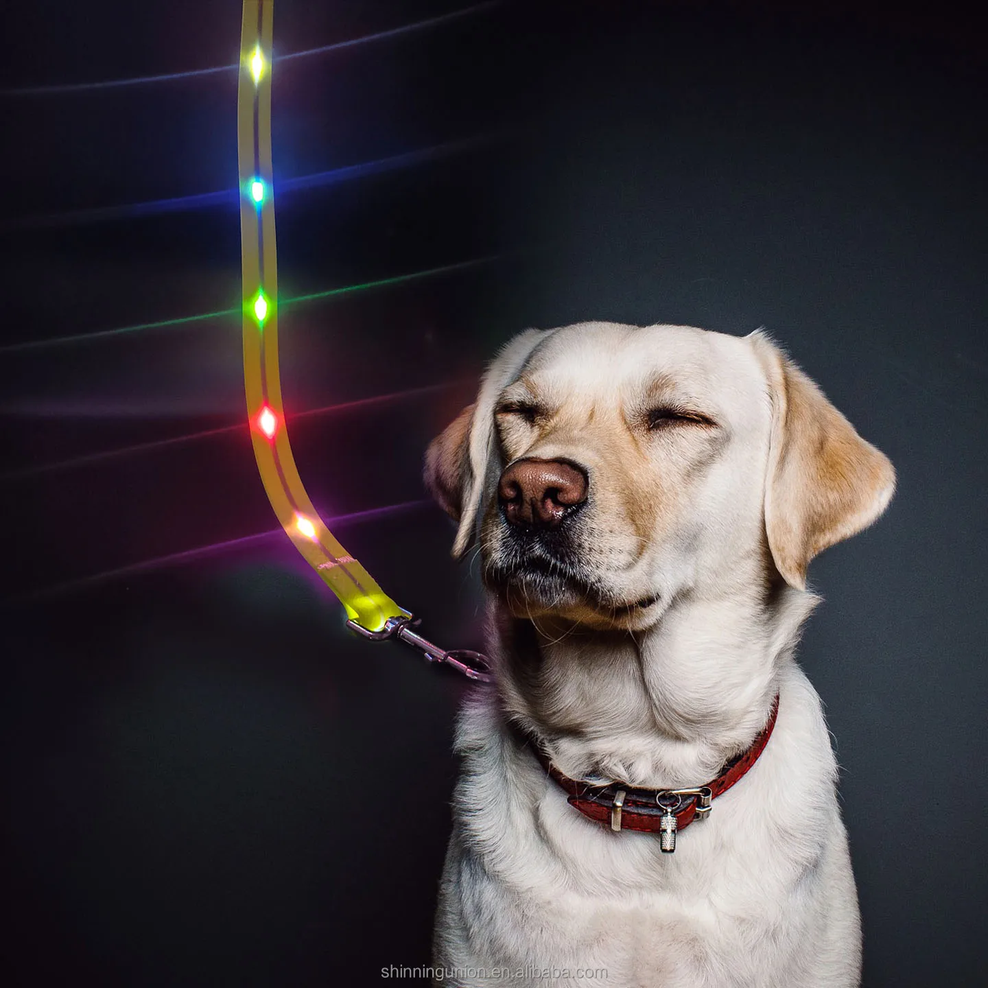 

Dog Leash LED Light - USB Rechargeable LED Light Dog Leash Changing Color Pet Supply Leash Wholesale - LED Dog Collar Optional