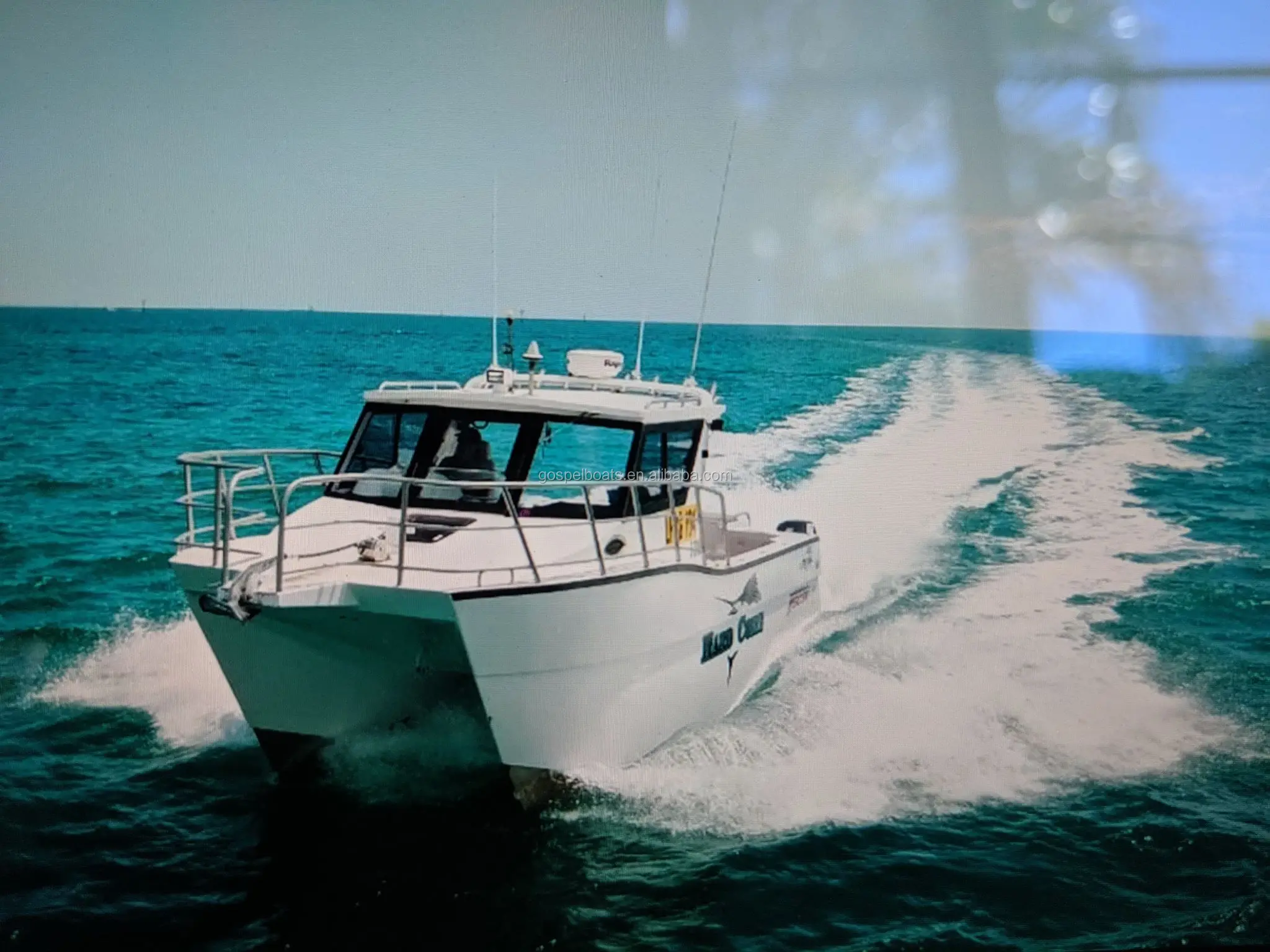 Yellow Fish Catamaran