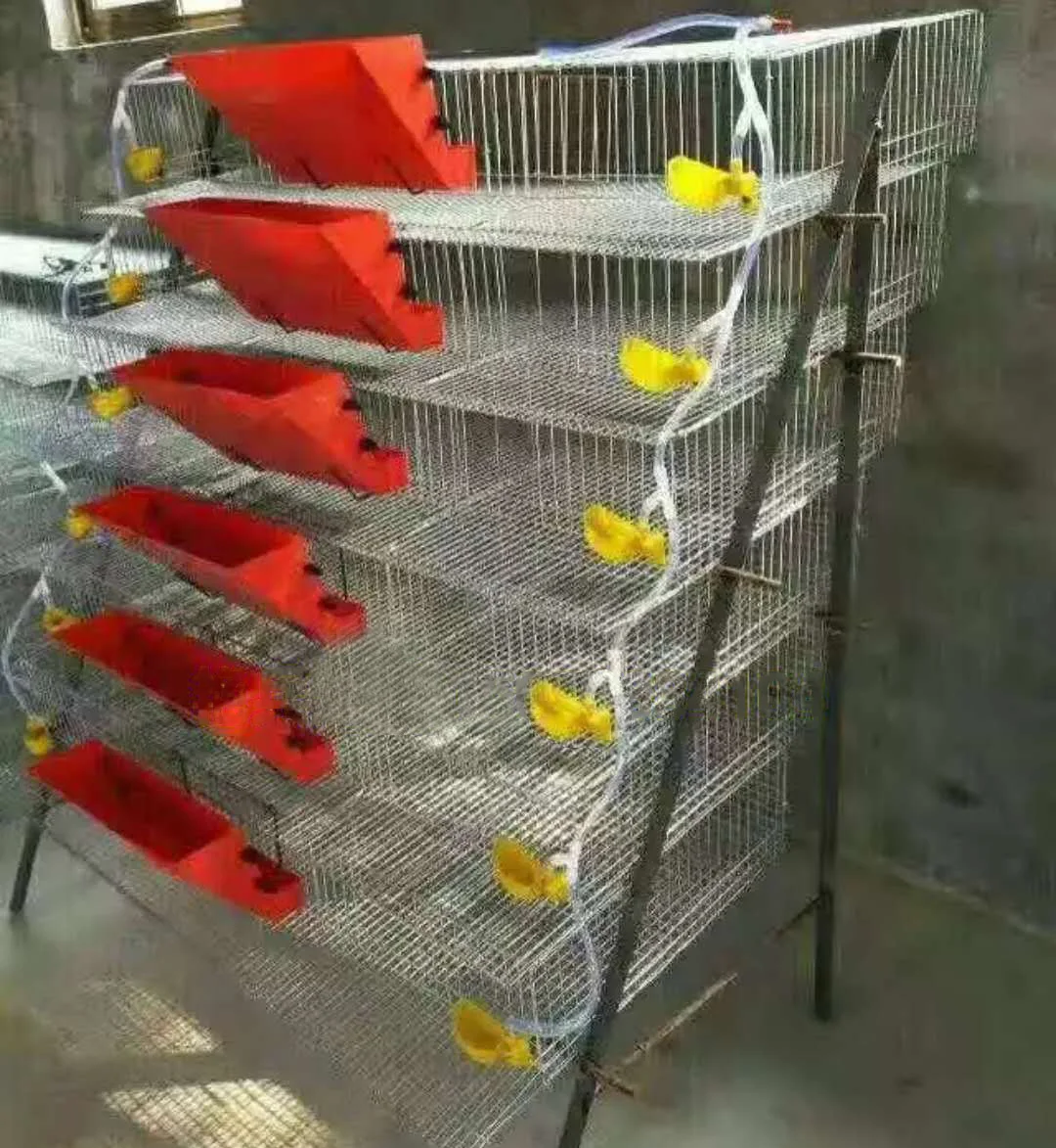 Plastic Automatic Quail Cage Feeder Trough Bird Quail Feeder Buy