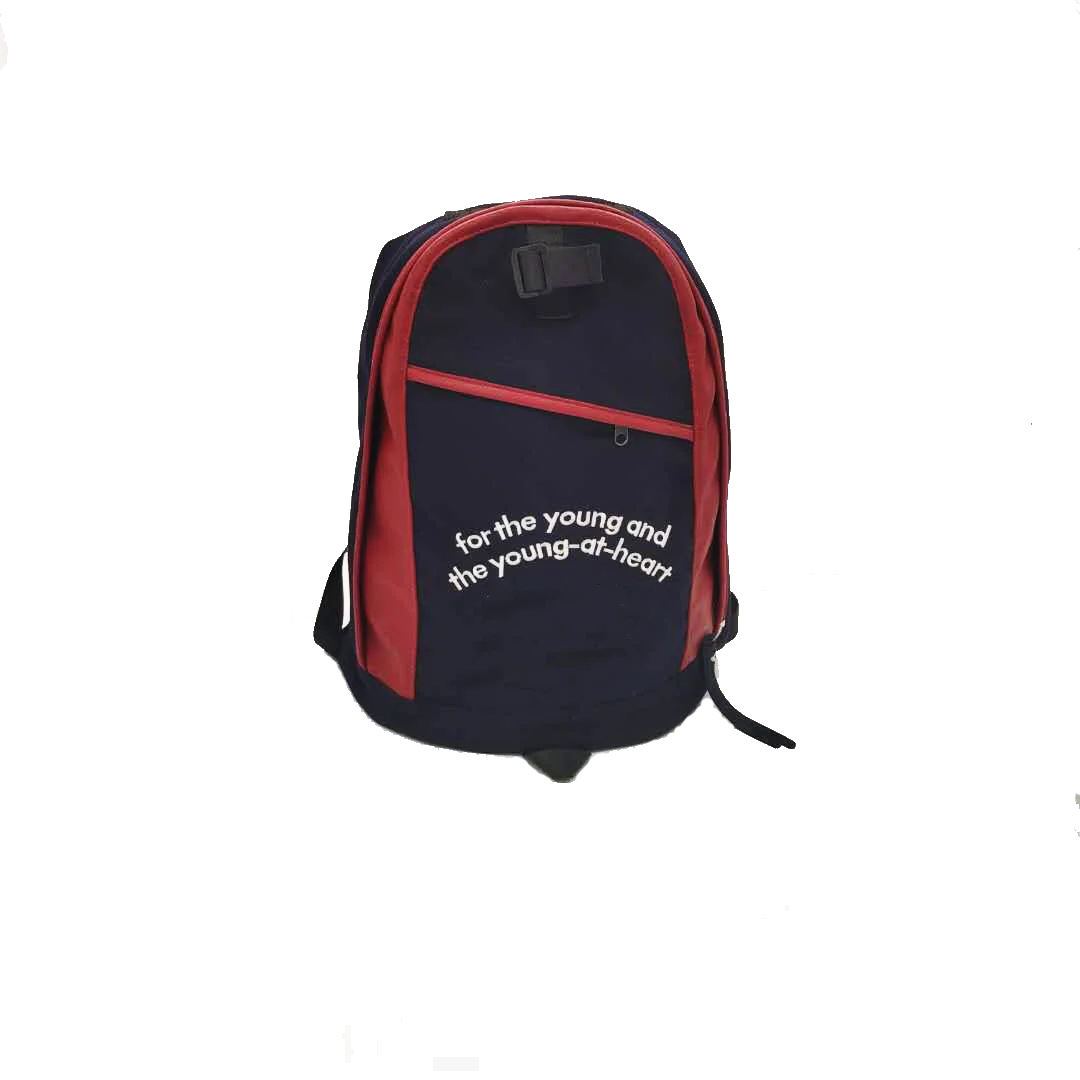 

New 2020 lining polyester customer Logo color back customer colors travellers hiking backpack for woman man