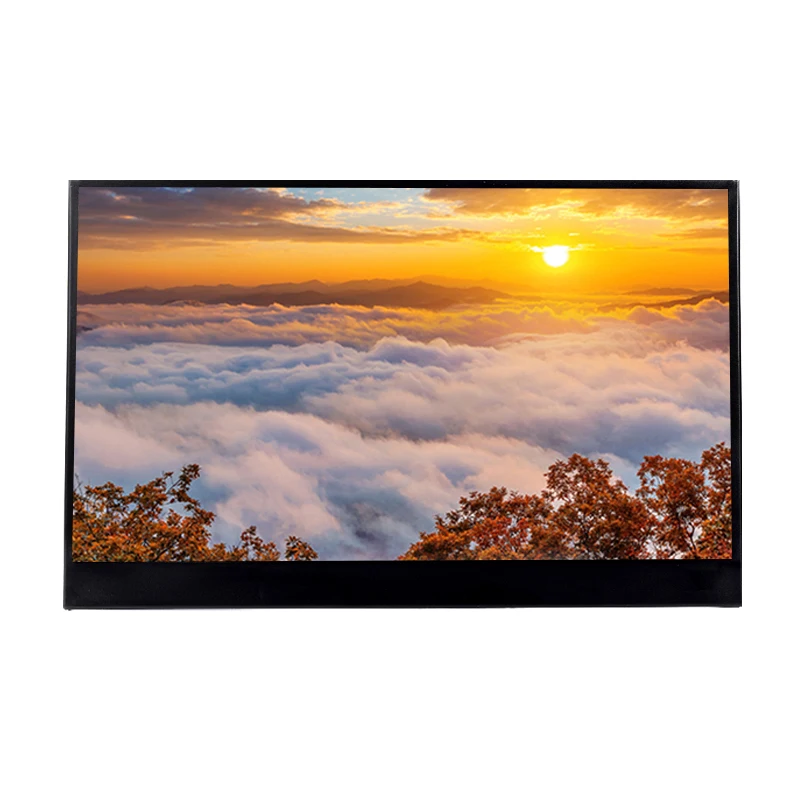 
15.6 inch Portable Monitor HDM 1920x1080 HD IPS Display Computer LED Monitor with Leather Case for PS4 Pro/Xbox/Phone 