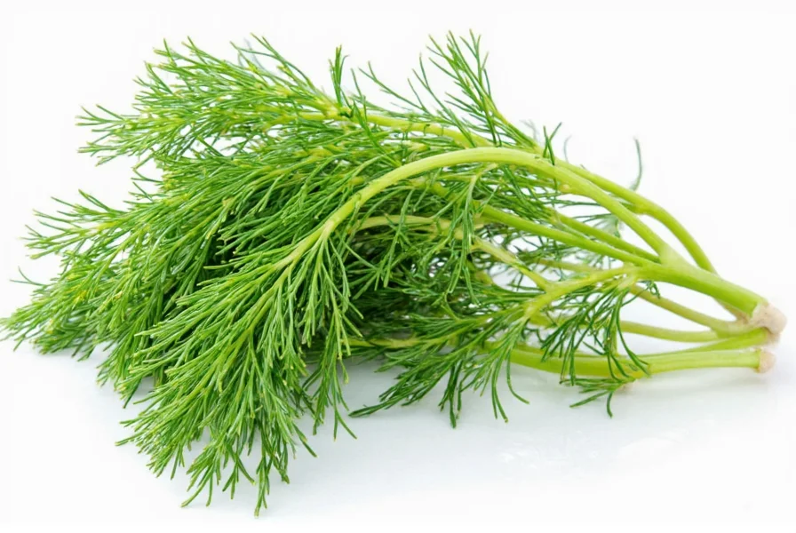 Dill weed used in various culinary preparations including fish, salad and sauce