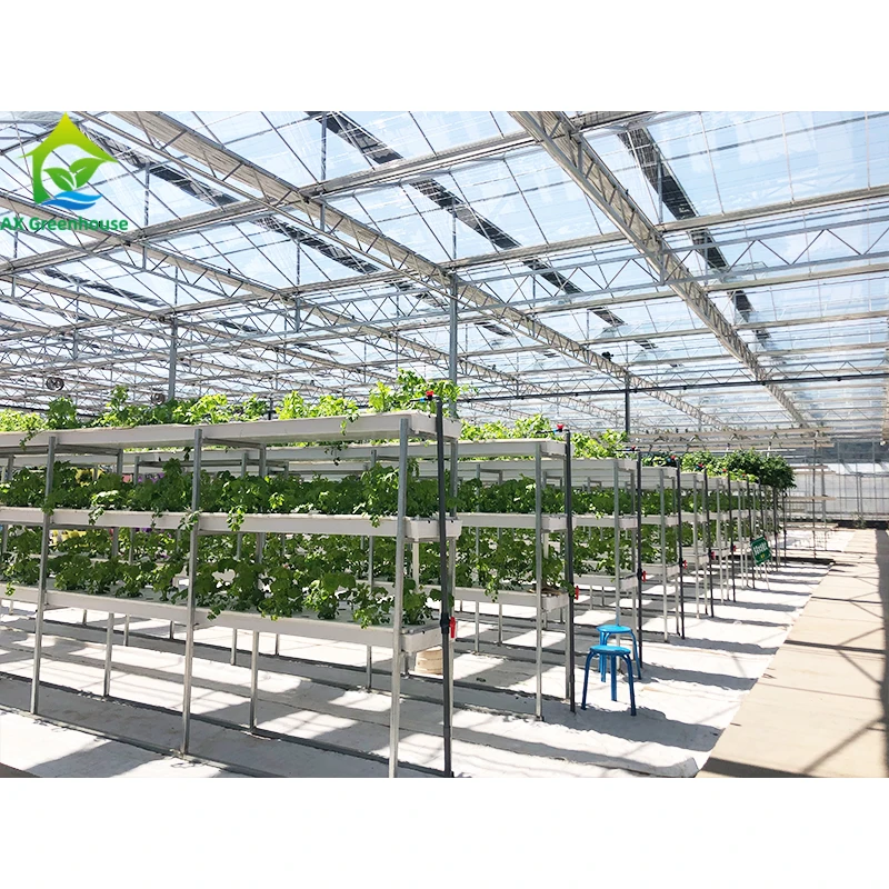 

Vertical farming hydroponic growing system in glass greenhouse