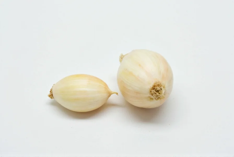 Visual comparison of garlic cloves to tablespoon measurements