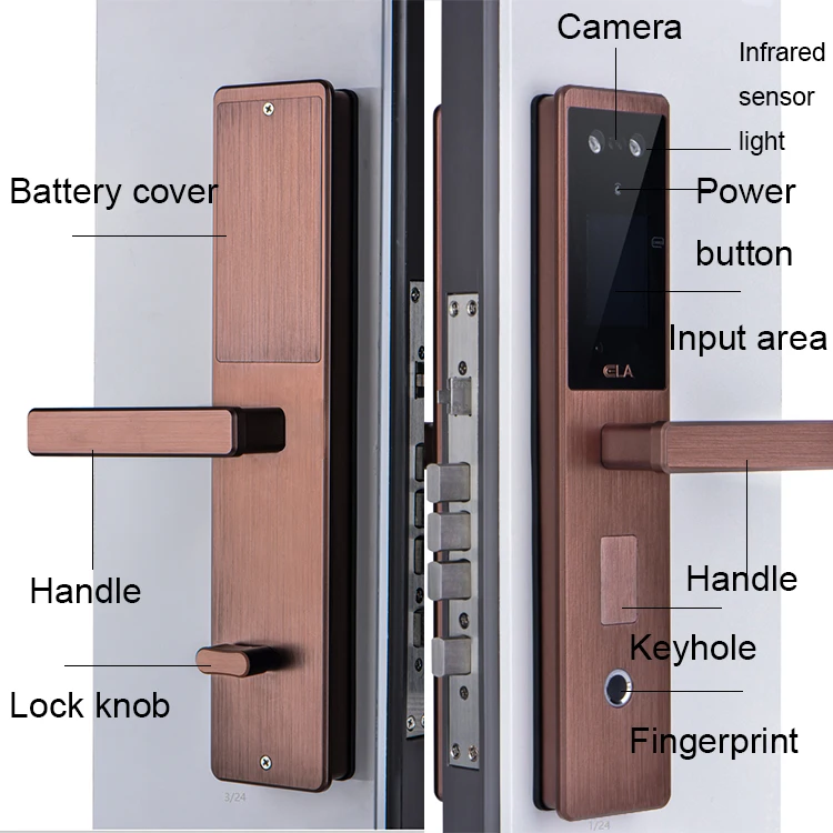 Automatic Digital Wifi Smart Face Recognition Door Lock with Tuya APP - ANKUX.COM