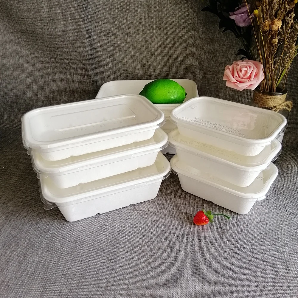 

Bagasse sugcrane pulp biodegradable disposable paper food containers with lids, White natural