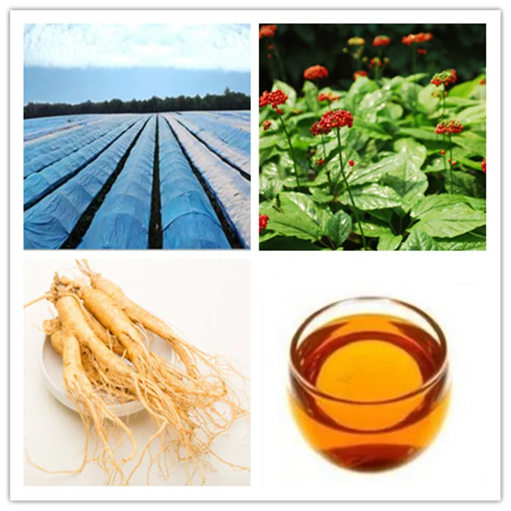
Ginseng Essential Oil 98% for Cosmetics 
