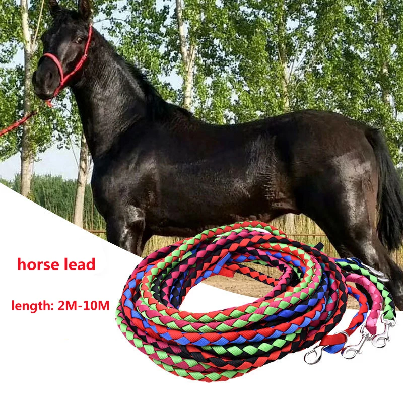 Custom Nylon Horse Halter - Durable & Versatile Lead Ropes