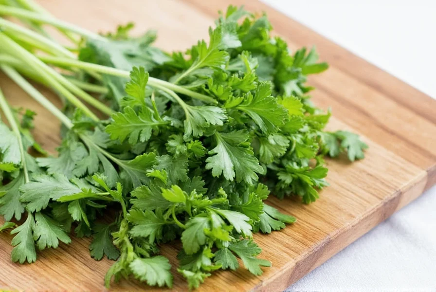 Spice jars including dried cilantro on a rustic countertop