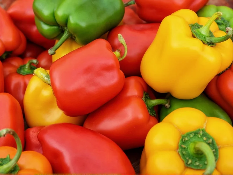 Identify Hot Peppers Photos: Visual Identification Guide