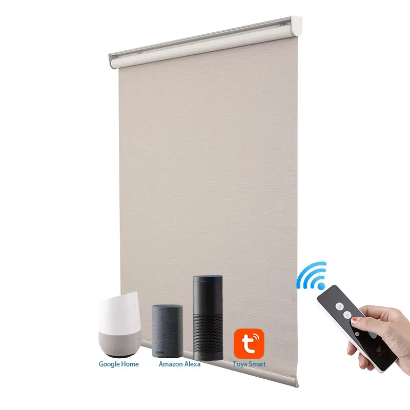 

DEYI Smart Electric Roller Blind Motor Curtains Blinds Shades Tuya Alexa Smart Curtain Roller for the Living Room Window, Customized color