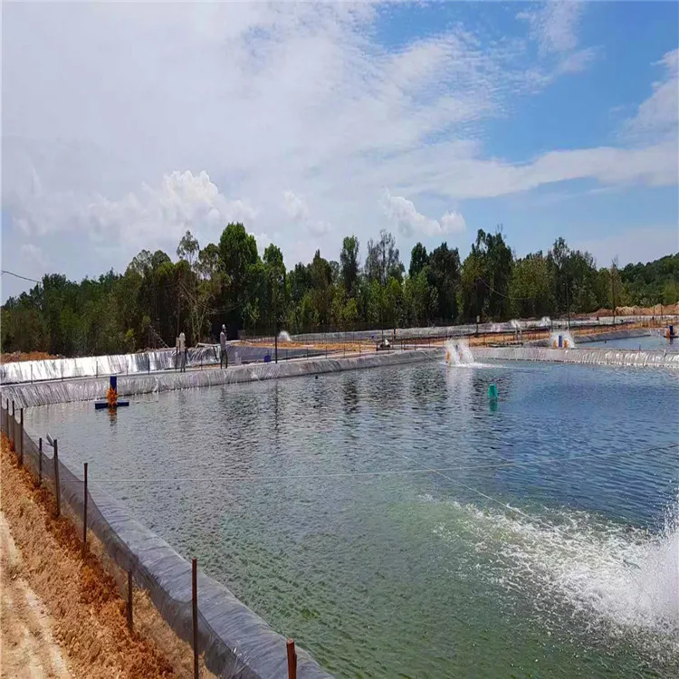 Round Pond Liner