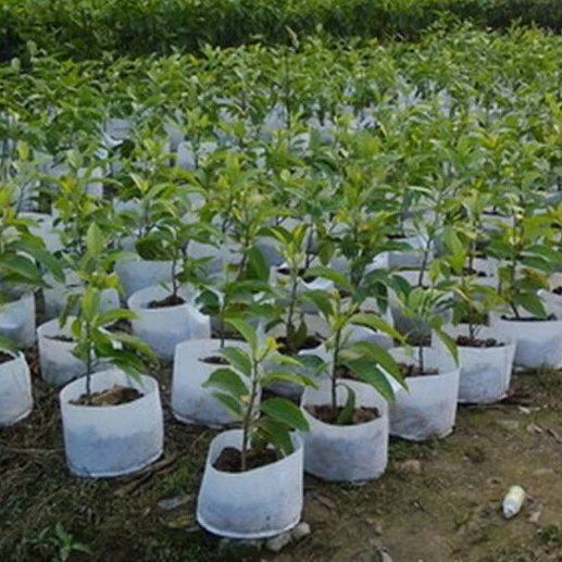 

Non Woven PlanterBags Fabric Pots, Black