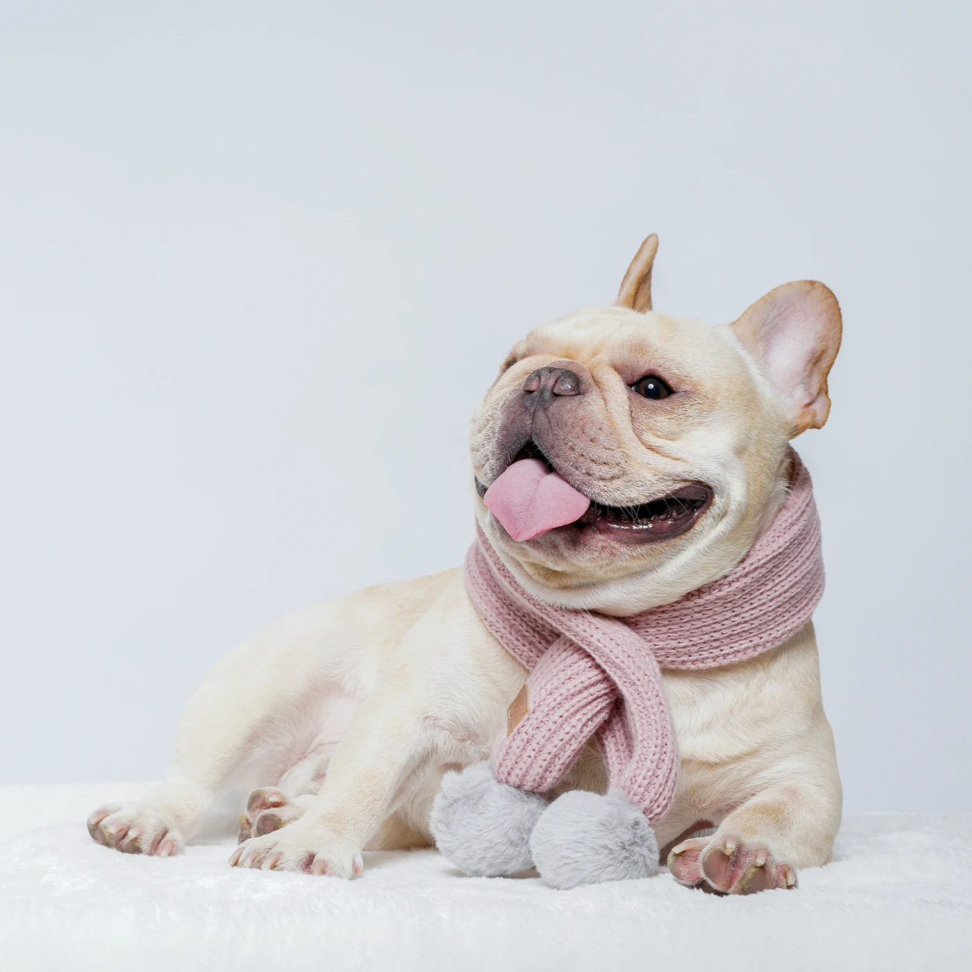 

UFBemo pink bunny fluffy ball scarf cute fashion Winter Dog Knitted Pet Warm Scarf