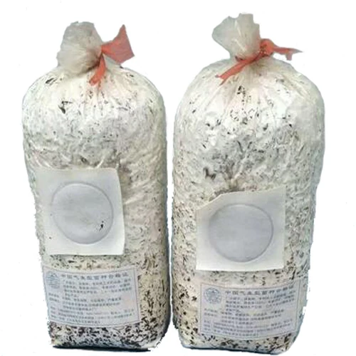 

Factory direct sale Plastic bag for spawn mushroom growing with breath filter