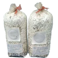 

Factory direct sale Plastic bag for spawn/mushroom growing with breath filter