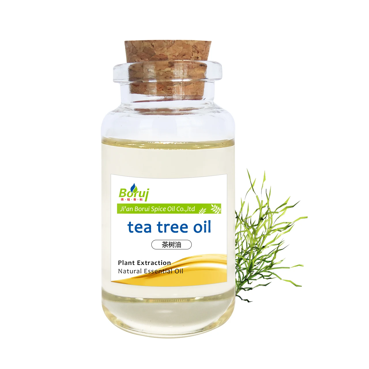 

Bulk Exporter Wholesale Price 100% Pure Natural Organic Australian Tea Tree Essential Oil For Sale