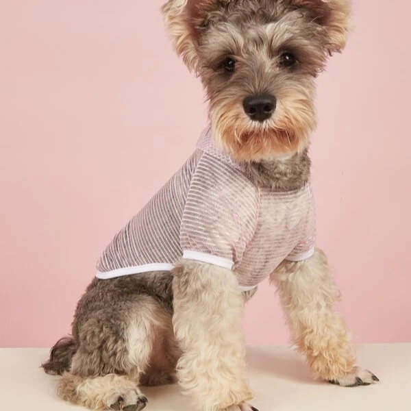 

Striped Pattern Pet HoodiePet Tank Top Cartoon Graphic Pet clothing dog Tank Top