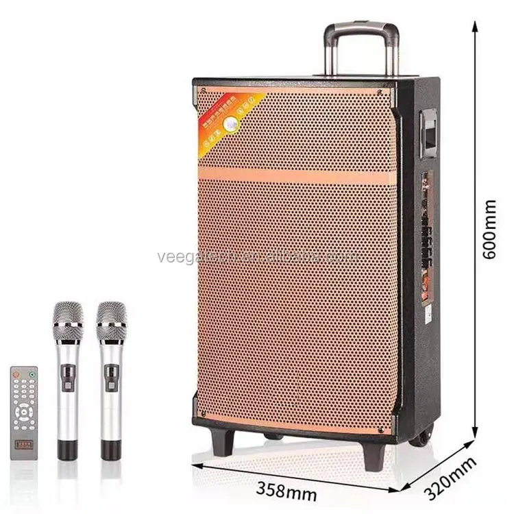 China Subwoofer 12 Inch Professional Bluetooth Trolley Speaker