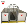 Galvanized Durable Long Using Life Used Modern Pig Farm Equipment Farrowing Crate