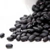 Hot Sale Black Kidney Bean Factory Direct Sale Black Kidney Bean