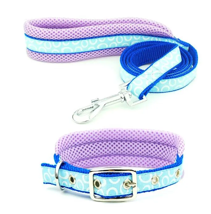 

Pet Products Durable Nylon Collar Adjustable Pet Leash For Large Dog