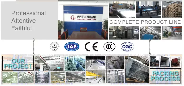 WEIFANG GUQIANG (3).jpg