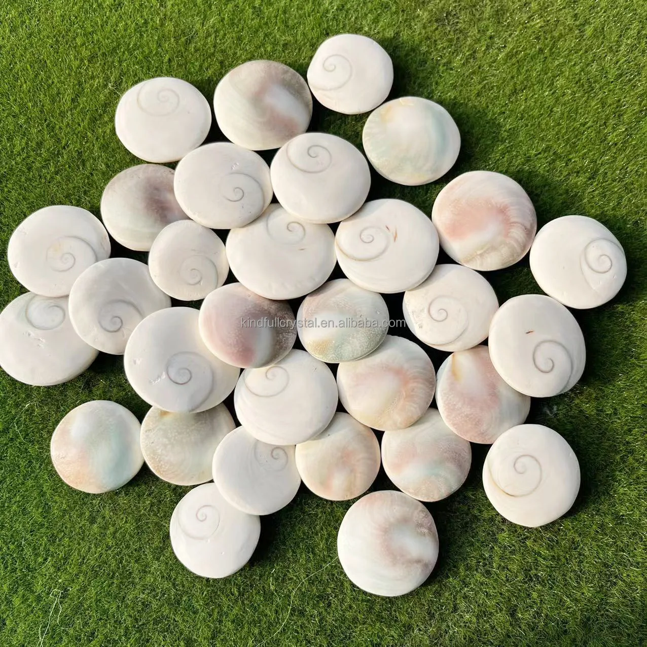 Shiva Eye Stone Sami Precious Gemstone Gomti Chakra Shiva Sea Shell Gemstone for Jewelry