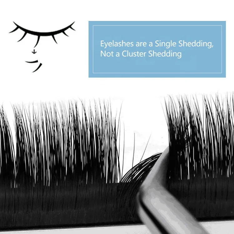 

Black Camellia eyelashes 0.03/0.05/0.07/0.10 mm premium mink lash with OEM, Black color and also have colored