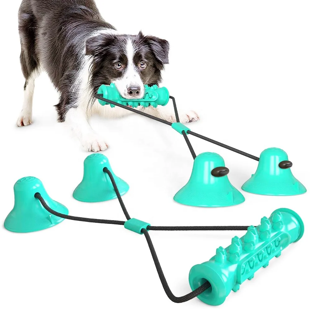 

Dog Molar Rope Toy with Two Suction Cups Sturdy Dog Teeth Cleaning Chew Tug Toys, Lake blue, green