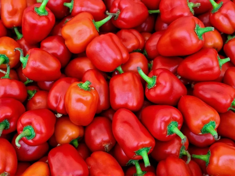 Thai Pepper Heat Level: 50,000-100,000 SHU Explained