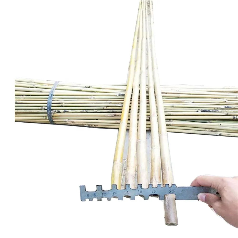 
Wy J282 natural eco friendly factory cheap bamboo stakes for plants supporting <span style=
