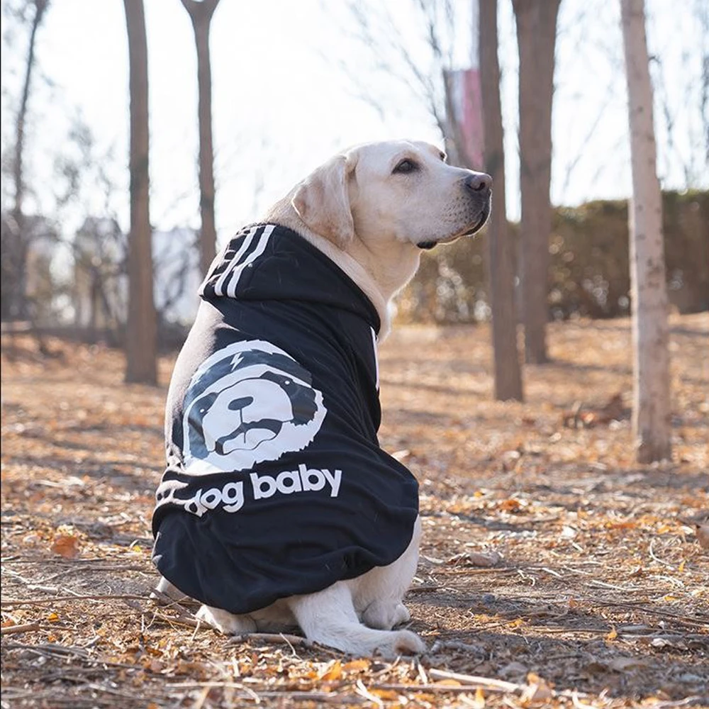 

Winter Autumn Pet Products Multi Sizes Dog Clothes Fashion Sport Style Dog Hoodie For Small Big Dogs Accessories Petcloth00010, Coffee/wine red/navy blue/orange/purple/pink