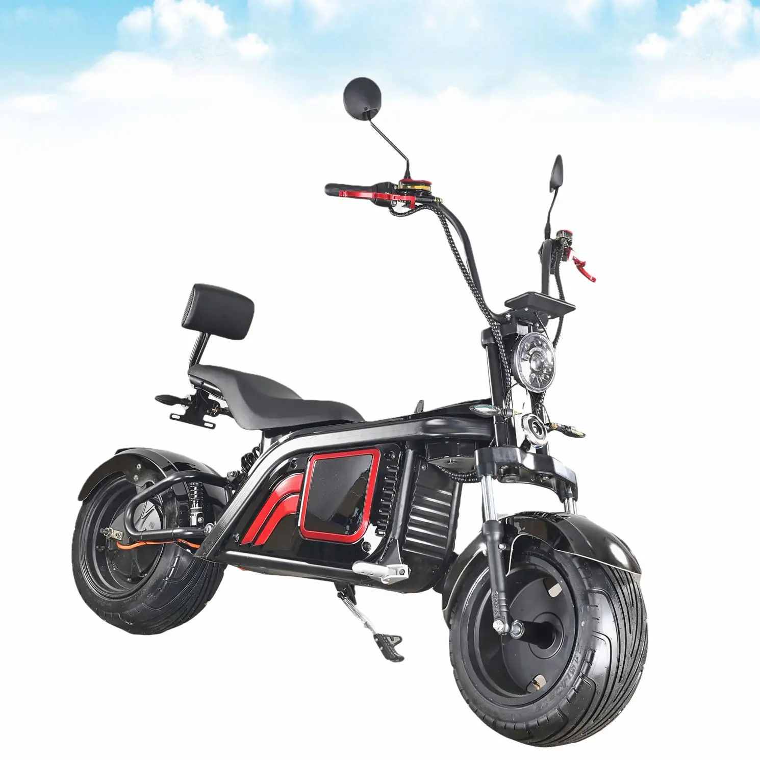 

2 Wheel Adult E Bike Mountain Electric Bicycle Price For Adults