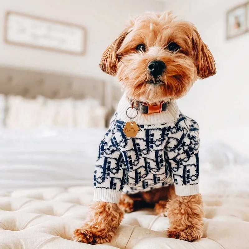 

2021 Luxury Brand Fashionable Spring And Summer Pet Sweater, Picture