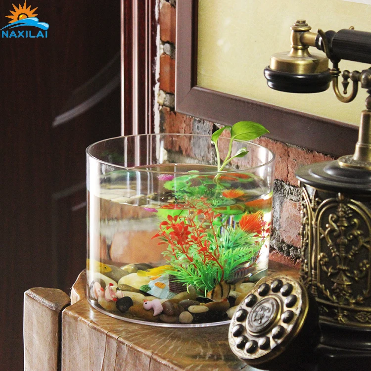 
NAXIALI Small Acrylic Cylindrical Fish Tanks Clear Acrylic Aquarium Fish Tank Acrylic Aquarium Manufacturers 